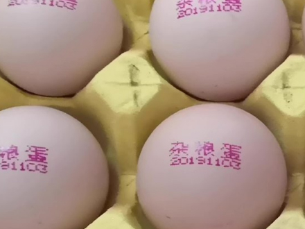 雞蛋噴碼機(jī)的選購(gòu)